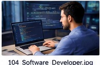 Software Developer