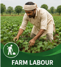 Farm Labour